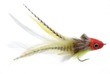 Umpqua Swimming Baitfish